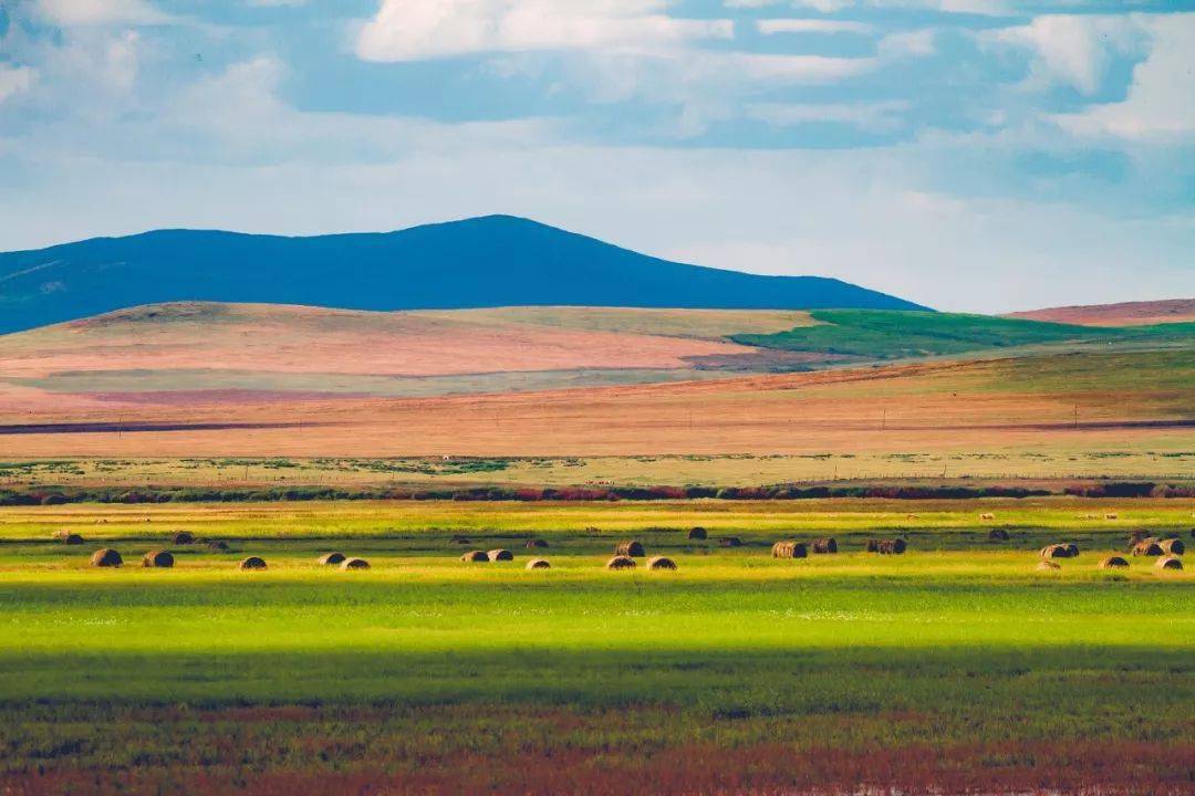 内蒙古草原，骏马奔腾，牧歌悠扬